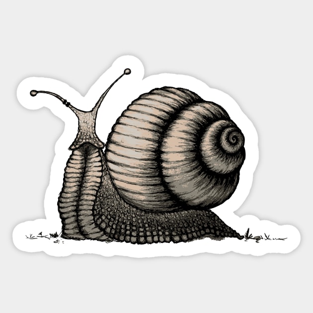 Snail Sticker by mangulica